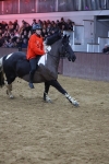 SBM_004196