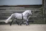 SBM_004055