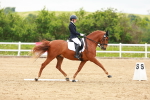 SBM_006769