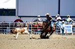 3HRodeo8-11-25_PRCASteer_03574_