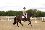 SBM_006381