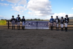 SBM_008334