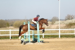 SBM_000089