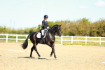 SBM_000231