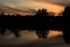 Summer Sunset