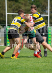 Rugby Sevens Festival 2020-2