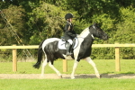 SBM_67413