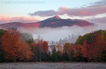 Chocorua Veiled