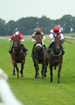 Race 6 17.20pm Next Meeting Wednesday 1st July - Book Now Handicap portfolio