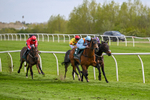 240424-Race 5-Tyger Bay-8244
