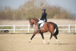 SBM_007288