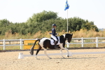 SBM_006497