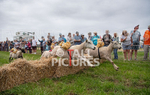 Guernsey Agricultural Show 2021-127