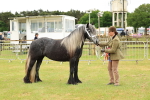 SBM_00619