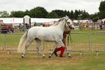 SBM_04282