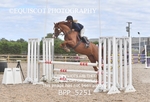 BPP_5251