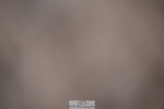 240706A-102438-00809