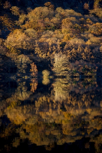 Wales