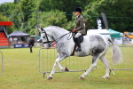 SBM_02522