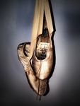 Golden_Glory