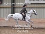 JAC_2290
