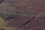 Leg One-7