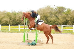 SBM_005787