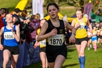 Falkirk25-910433