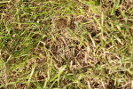 SBM_01613