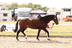 SBM_15364