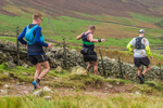 Langdale-1092