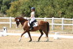 SBM_002544
