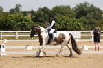 SBM_004156