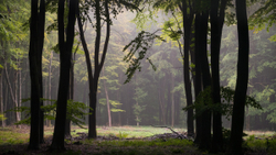 Where friends once stood