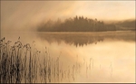 Approaching Fog
