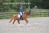 BPP_0587