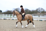SBM_007008