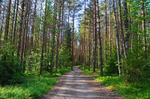 Nuuksio National Park, Uusimaa, Finland