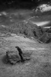 Saddle Pass and Medicine Root Trail III