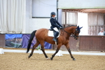 SBM_003376