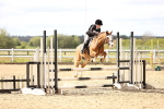 SBM_003033