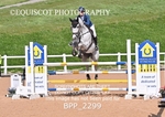 BPP_2299