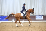 SBM_008978