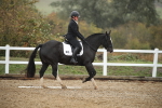 SBM_001482