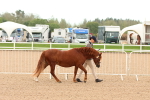 SBM_16464