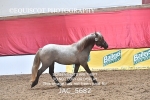 JAC_5682
