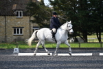 WJ5_8961