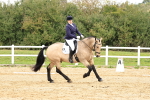 SBM_002998