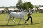 SBM_00752