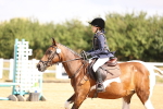 SBM_006175